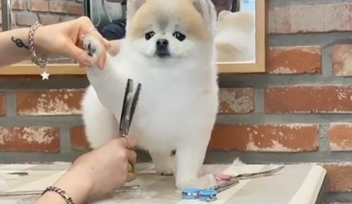 thumbimg