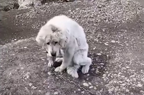 thumbimg