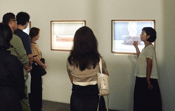 로얄앤코, 사진작가 강진주 개인전 