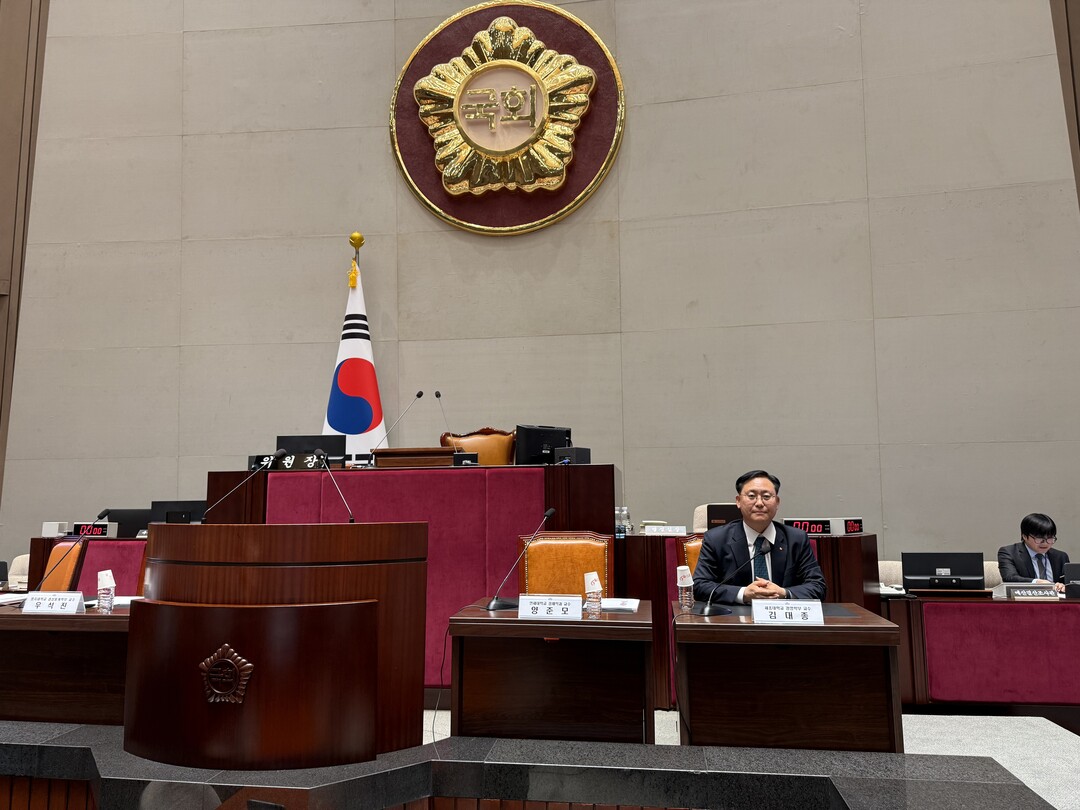 김대종 세종대 교수 "한국 외환보유고...