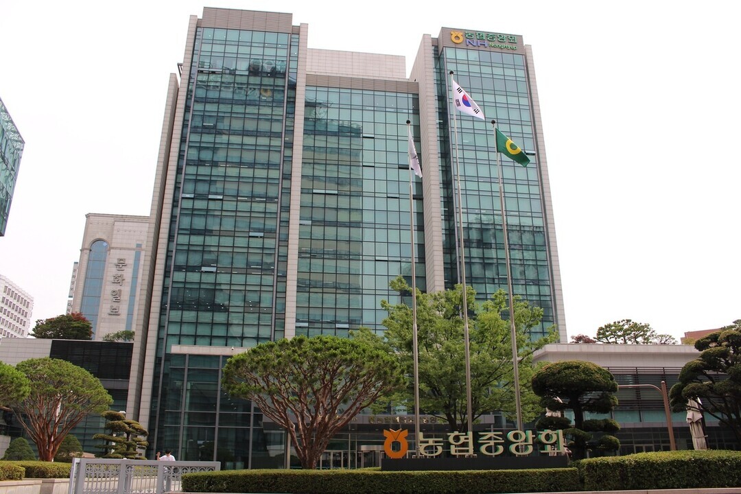 농협중앙회, 비리 논란에 임원 절반 ...