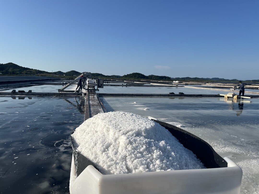 주한 미국 대사관, 신안 염전 노예사...