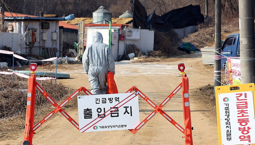 구제역·조류인플루엔자·돼지열병 전국 ...