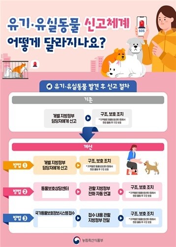 유실·유기동물 발견 시 신고