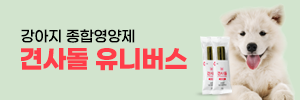 견사돌
