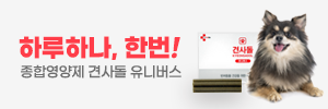 견사돌