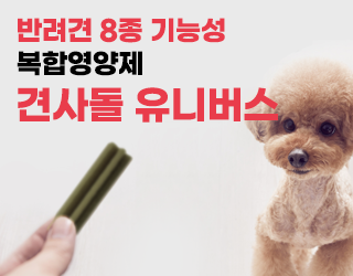견사돌(3)