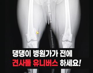 견사돌(4)